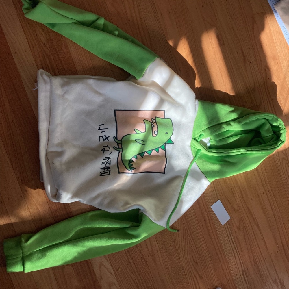 Dinosaur hoodie